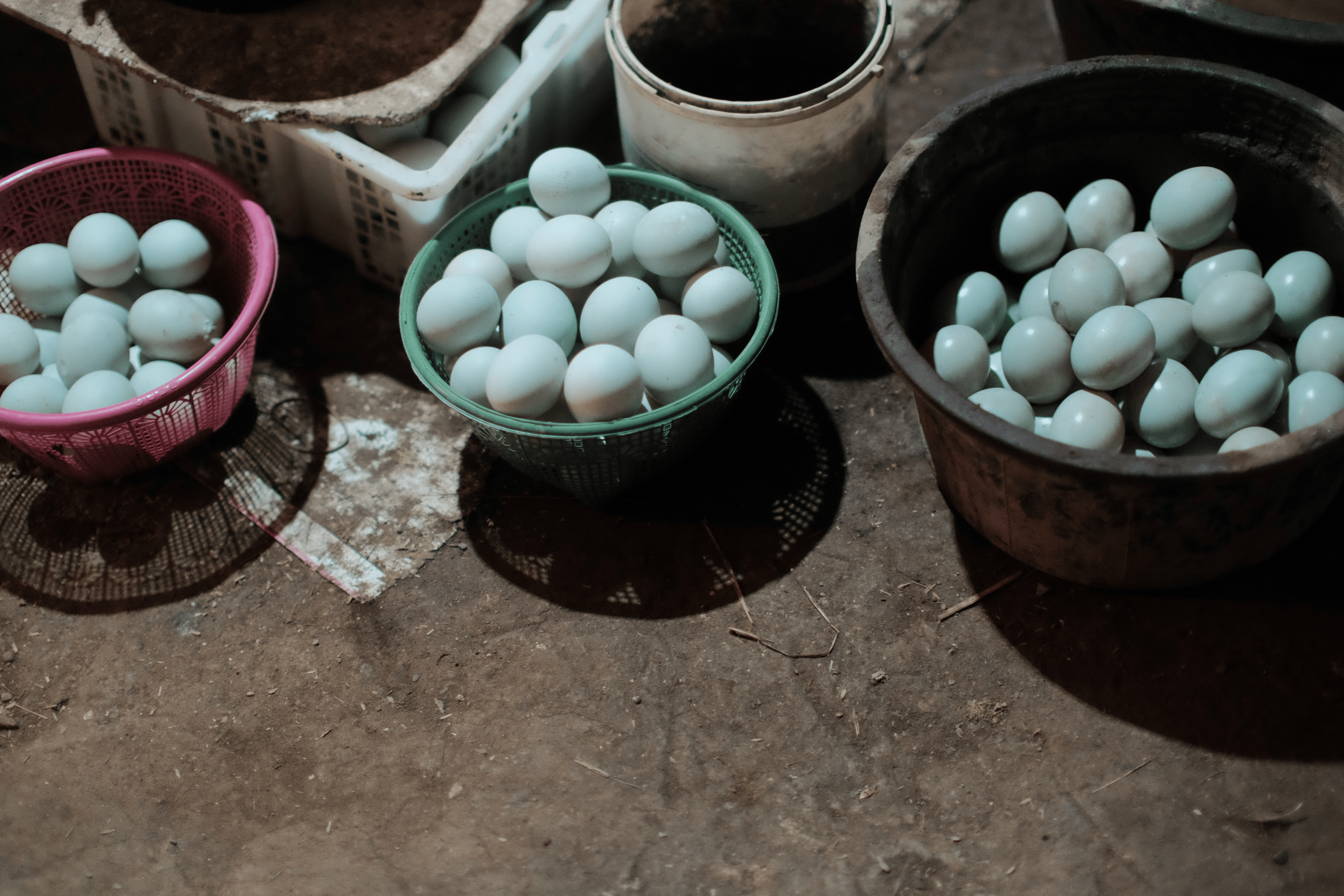 Telur Asin 1