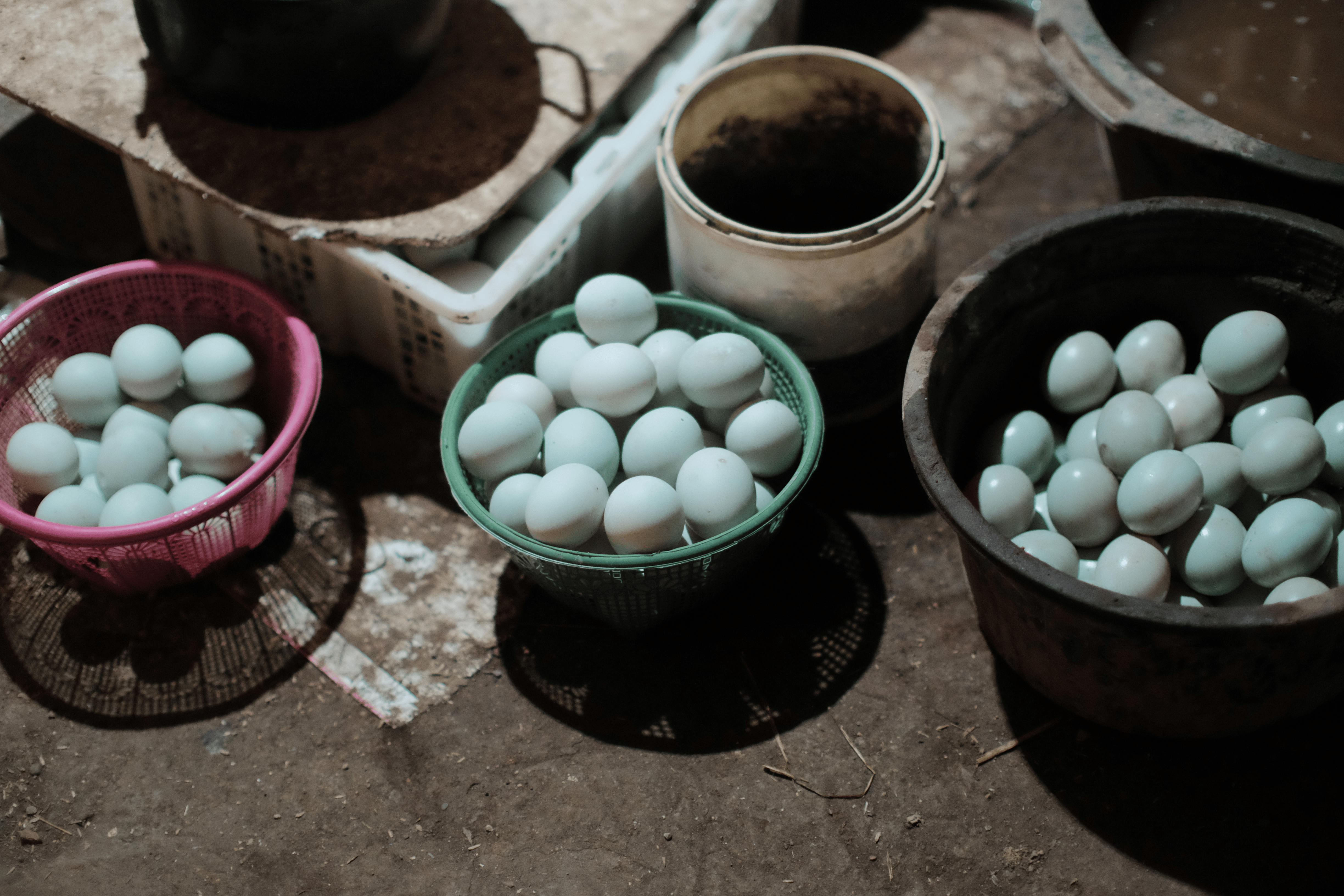 Telur Asin 3